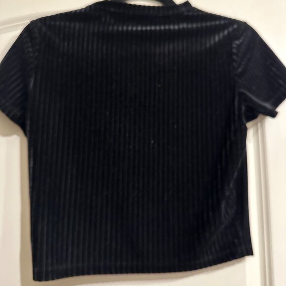 Disturbia Rosaline Velour Rib Crop Top Black Velvet Rose Embroidered High Neck - Picture 3 of 4